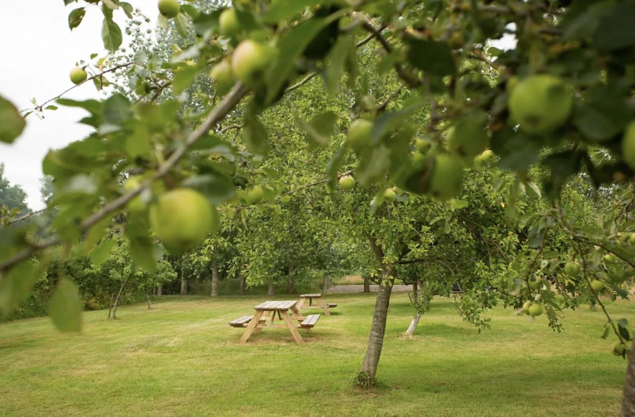 Tall Trees Glamping Baltonsborough Exterior photo